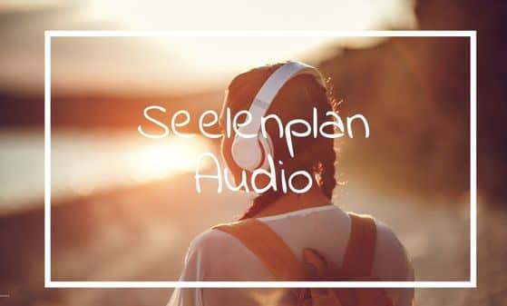 Angebot zu Seelenplan-Aufnahme ohne direktes Gespräch
