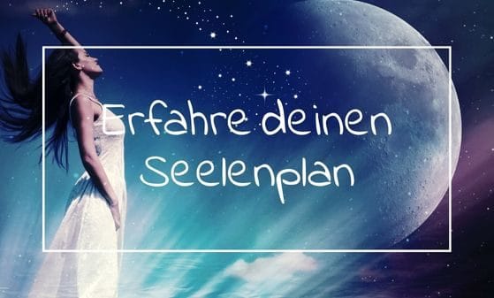 Angebot zur Seelenplan-Lesung